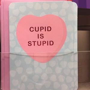 Meet your Posher, Kristi